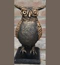 Mr. Uil thuispakket