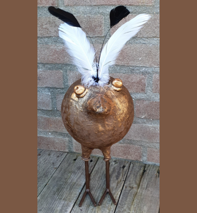 Rocky bird thuispakket
