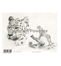 A4 Powerprint Jachtluipaard