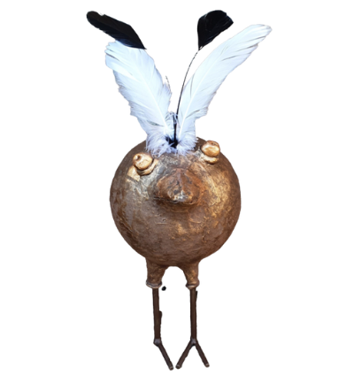 Vogel pootjes