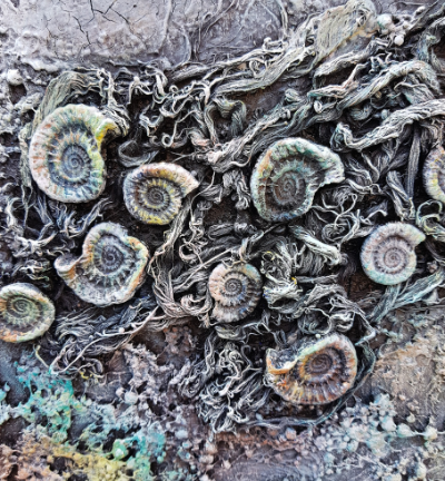 FOSSIL MOULD MEDIUM