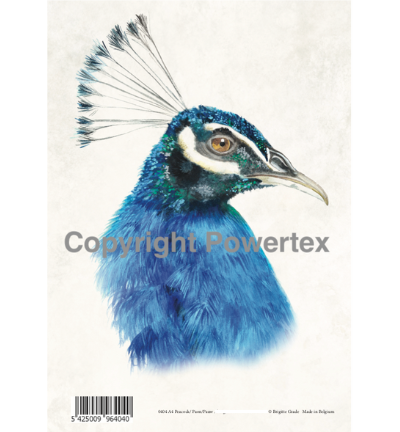 A4 Powerprint Pauw