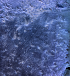 Powereffect Royal Blue 15g